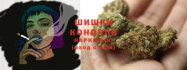 apvp Алзамай