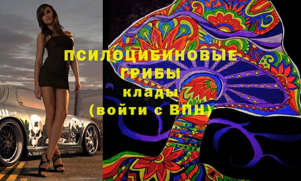 apvp Алзамай