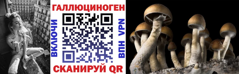 Псилоцибиновые грибы GOLDEN TEACHER  Бирск 
