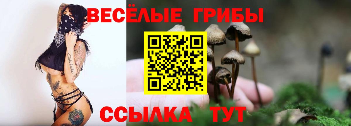 Бирск  Псилоцибиновые грибы Psilocybine cubensis  Галлюциногенные грибы Psilocybine cubensis  наркотики  Вход с VPN 